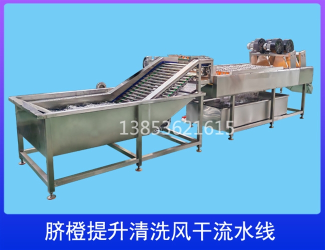 柑橘提升清洗流水线