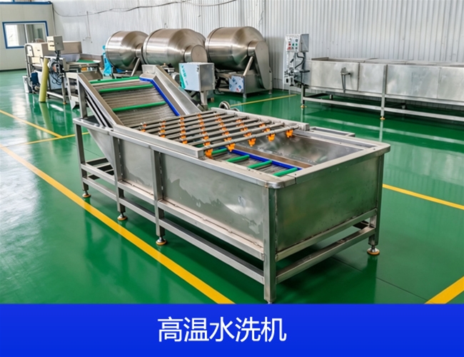 果蔬气泡鼓浪清洗机