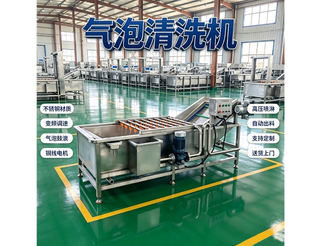 根茎类气泡清洗机
